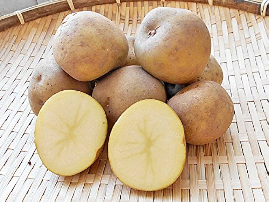 おすすめっ❗️ じゃがいも　5kg 77 ジャガイモ人気セットA（きたあかり5kg・男爵5kg）